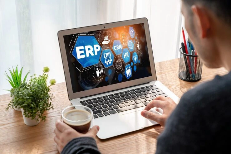 Addressing Specific ERP System Needs